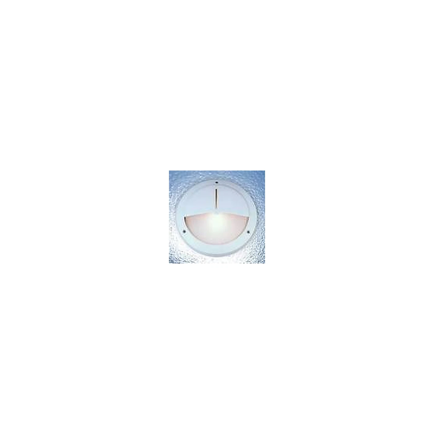 LUTEC 3173L-E27 Bulkhead Light – 100W IP65, White
